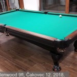 Brunswick Glenwood 9ft, Čakovec 12. 2018. 9