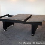 Pro Master 8ft, Ražanj 03. 2019. 1